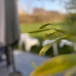Casa vacanze Ard'zen *